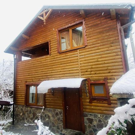 Котедж Гірський 亚列姆切 外观 照片